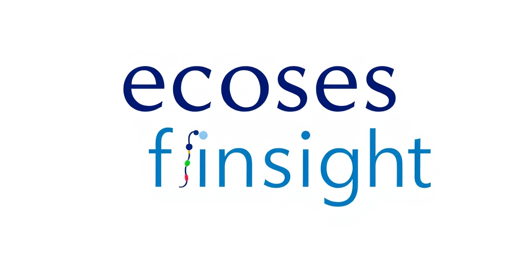 Echoes of Insight